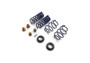 Ford Racing 15-24 Mustang Street Lowering Spring Kit