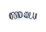 Ford Racing 2007-2014 Mustang Shelby GT500 Springs