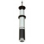 Strange- 79-04 Double Adjustable Front Strut, PAIR