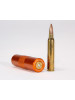 Ammo Checker Single Caliber
