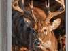 Winchester Ammo X300SDS2 Deer Season XP 300WSM 180gr 20 Per Box/10 Case