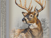 Winchester Ammo X32WS2 Power-Point 32WinSpecial 170gr 20 Per Box/10 Case