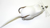 Primos 707 Trophy Grunter  Grunter Call Single Reed Attracts Deer Black Plastic UPC: 010135007072