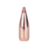 BULLET 22 CAL 224 35GR NTX 100/BX UPC: 090255200003