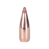 BULLET 22 CAL 224 35GR NTX 100/BX UPC: 090255200003