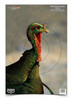 Birchwood Casey 35403 Pregame  Turkey Paper Hanging Universal 12 x 18 MultiColor 8 Per Pkg UPC: 029057354034