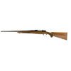 RUG 37117 HAWKEYE STD 223 SAT BL UPC: 736676371174