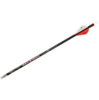 Carbon Express Maxima Red Arrow 250 2in. Vane 6Pk UPC: 044734507534