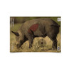 PREGAME 16.5IN X 24IN BOAR 3 TARGET UPC: 029057354089