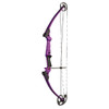Genesis Original Righthand Bow Kit Purple UPC: 859752000338