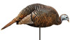 MONTANA DECOY 0043 DINNER BELLE HEN UPC: 851234000430