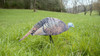 MONTANA DECOY 0043 DINNER BELLE HEN UPC: 851234000430