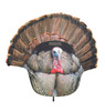 MONTANA 2D FANATIC GOBBLER FAN UPC: 851234000584