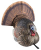 Avian X AVXAVX8004 LCD Strutter Turkey Species Multi Color DuraRubber UPC: 810280080049