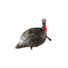 Avian X AVXAVX8003 LCD QuarterStrut Jake Turkey Species Multi Color DuraRubber UPC: 810280080032