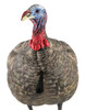 Avian X AVXAVX8003 LCD QuarterStrut Jake Turkey Species Multi Color DuraRubber UPC: 810280080032