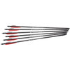 RWSUmarex 2252661 Air Saber  Black Carbon Fiber 6 Pack UPC: 723364526619