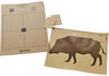 ATN Universal Thermal Target Pack Boar UPC: 658175121930