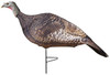 Primos® Photoform Leading Hen Decoy UPC: 010135690687