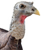 Primos® Photoform Leading Hen Decoy UPC: 010135690687
