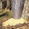 MOULTRIE 100# WATERPROOF BAG FEEDER UPC: 053695150192
