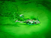 SPRO FLAPPIN FROG 65 NATURAL RED UPC: 651583129420