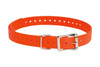 SPORTDOG BD 3/4" ORANGE COLLR STRAP UPC: 729849108158