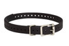 SPORTDOG BD 3/4" BLACK COLLR STRAP UPC: 729849108165