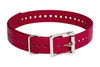 SPORTDOG BRAND� 1" RED COLLAR STRAP UPC: 729849108226