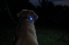SPORTDOG BRAND� RED LOCATOR BEACON UPC: 729849137578