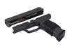 Sig Sauer 8900719 P365 Caliber Exchange Kit 380 ACP 3.10" 10+1 Black Nitride Slide Black Polymer Frame SigLite Night Sights for All Sig P365 Models                                                     