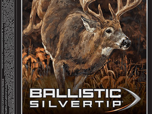 Winchester Ammo SBST243 Ballistic Silvertip 243Win 55gr Fragmenting Polymer Tip 20 Per Box/10 Case