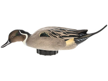 Avian X AVXPSHPNSF Power Shaker Pintail Surface Feeder Duck Decoy Multi-Color