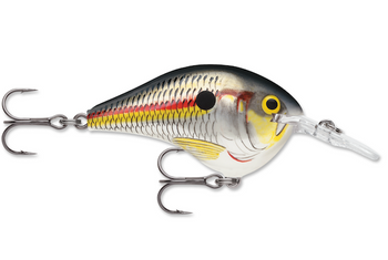 RAPALA DIVES-TO 16 SHAD
