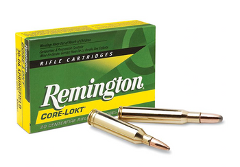 REM 300WSM 150GR PSP-CORELKT 20BX
