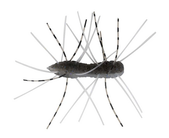 ZMAN FUZZY BUGZ 1.75" ELECTRIC SHAD