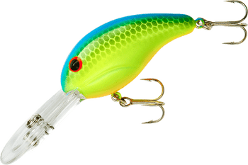 BANDIT DBL DR 1/4 2" CHT BLUE BACK