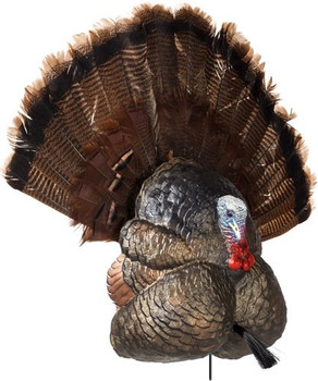 STRUTTER DECOY W/ FOLDING FANFLEXTONE THUNDER CREEPER 
