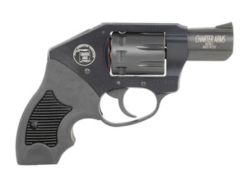 Charter Arms 12221 Walker 22 LR 8 Shot 2