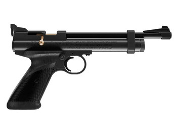 Daisy 2240 2240 Black Polymer CO2 22 Cal, Single Shot Bolt Action