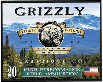 Grizzly Ammo GC357S3   357Sig 125gr Full Metal Jacket Flat Point 20 Per Box/10 Case                                                                                                                     