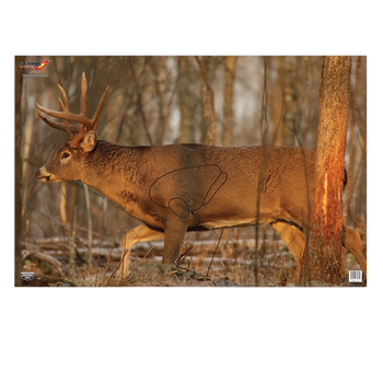 Birchwood Casey 37481 EZE-Scorer  Whitetail Deer Paper Hanging 23" x 35" Multi-Color 2 Per Pkg                                                                                                          