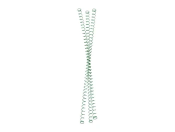 TANDEMKROSS TK05N0299GRN1 GREEN MAG SPRINGS RUG