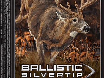 Winchester Ammo SBST300 Ballistic Silvertip 300WinMag 180gr Rapid Controlled Expansion Polymer Tip 20 Per Box/10 Case