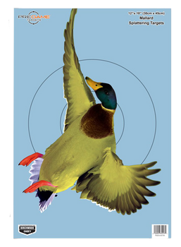 Birchwood Casey 35407 Pregame  Duck Paper Hanging Rifle/Shotgun 12" x 18" Impact Enhancement 8 Per Pkg                                                                                                  