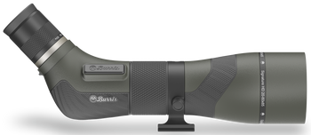 Burris 300103 Signature HD  Angled Body 20-60x85mm Gray/Green                                                                                                                                           