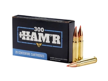 Wilson Combat A300HMR110VMAX 300HAM'R 110gr V-Max 20 Per Box/10 Case