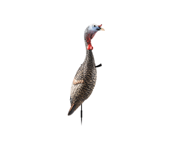 FLEXTONE FLX-FLXDY330 FUNKY CHICKEN GEN. 2