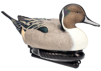 AVIAN AVX-PSW-PNSW  POWER SWIMMER PINTAIL DRAKE