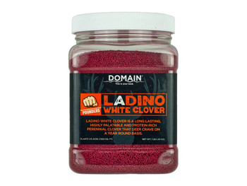 DOMAIN DLWCS1LB LADINO WHITE CLOVER